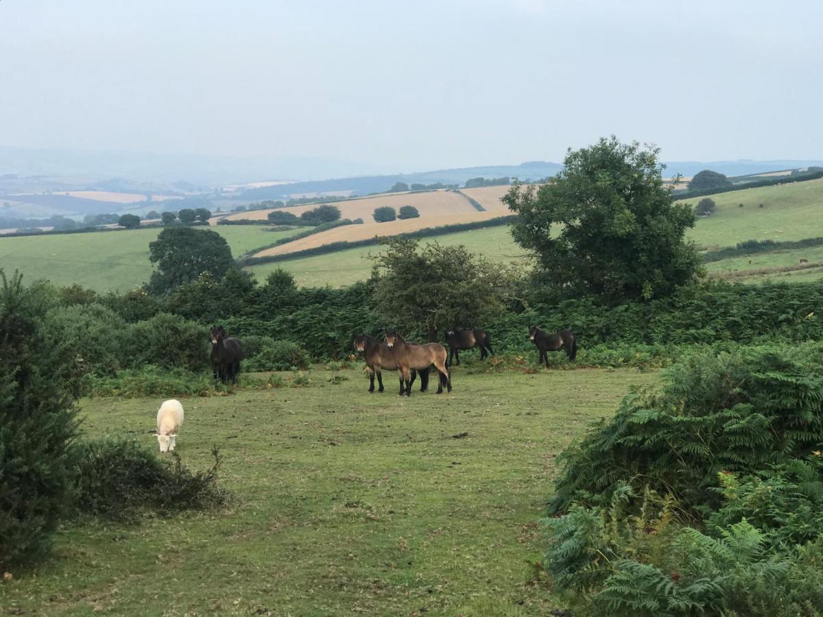 Slowley Farm * Luxborough